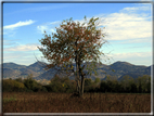 foto Colli Asolani in Autunno